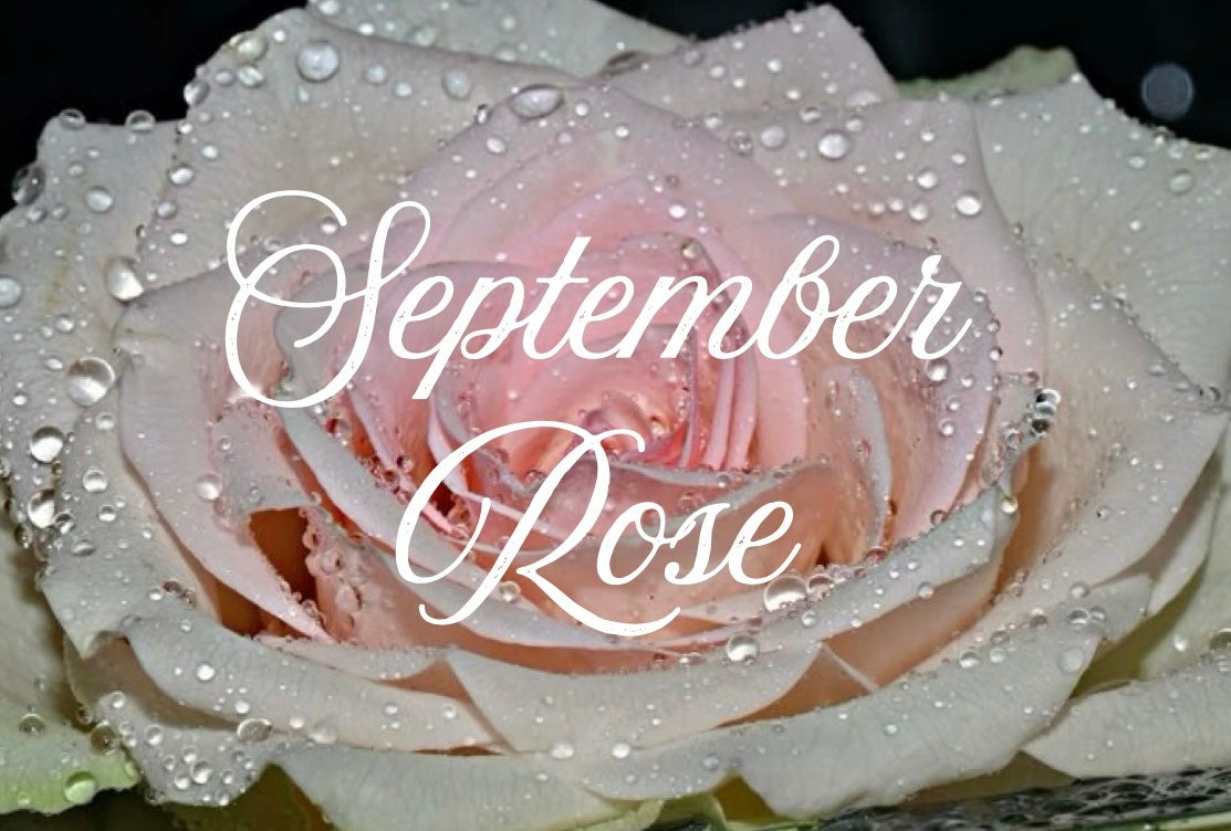 Miss September Rose